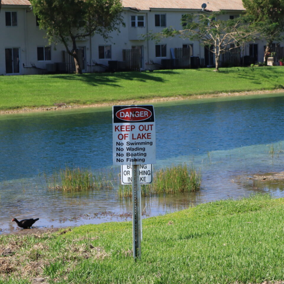 venetiagardens1.com-1-I-Venetia-Gardens-Lake-pond